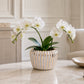 Jaleh Ribbed Ceramic Pot