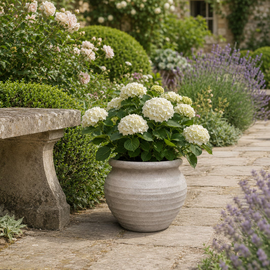 Della Rustic Jar-Style Cement Planter
