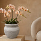 Della Rustic Jar-Style Cement Planter