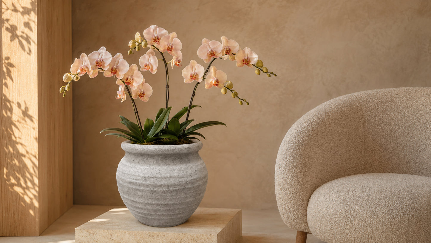 Della Rustic Jar-Style Cement Planter