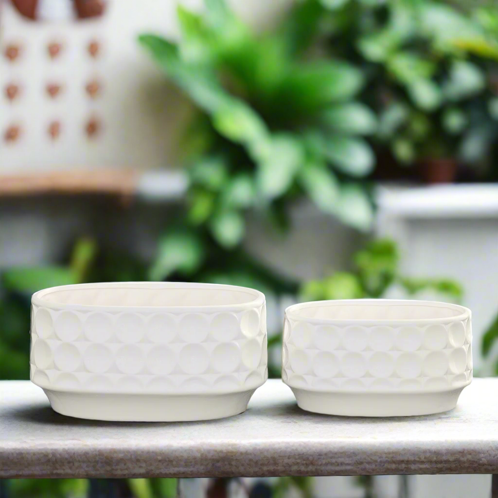 Yvessa Dotted Oval Ceramic Planter Set (Set of 2)