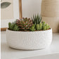 Licha Textured Ceramic Low Oval Planter Set (Set of 2)