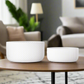 Circa Ceramic Planter