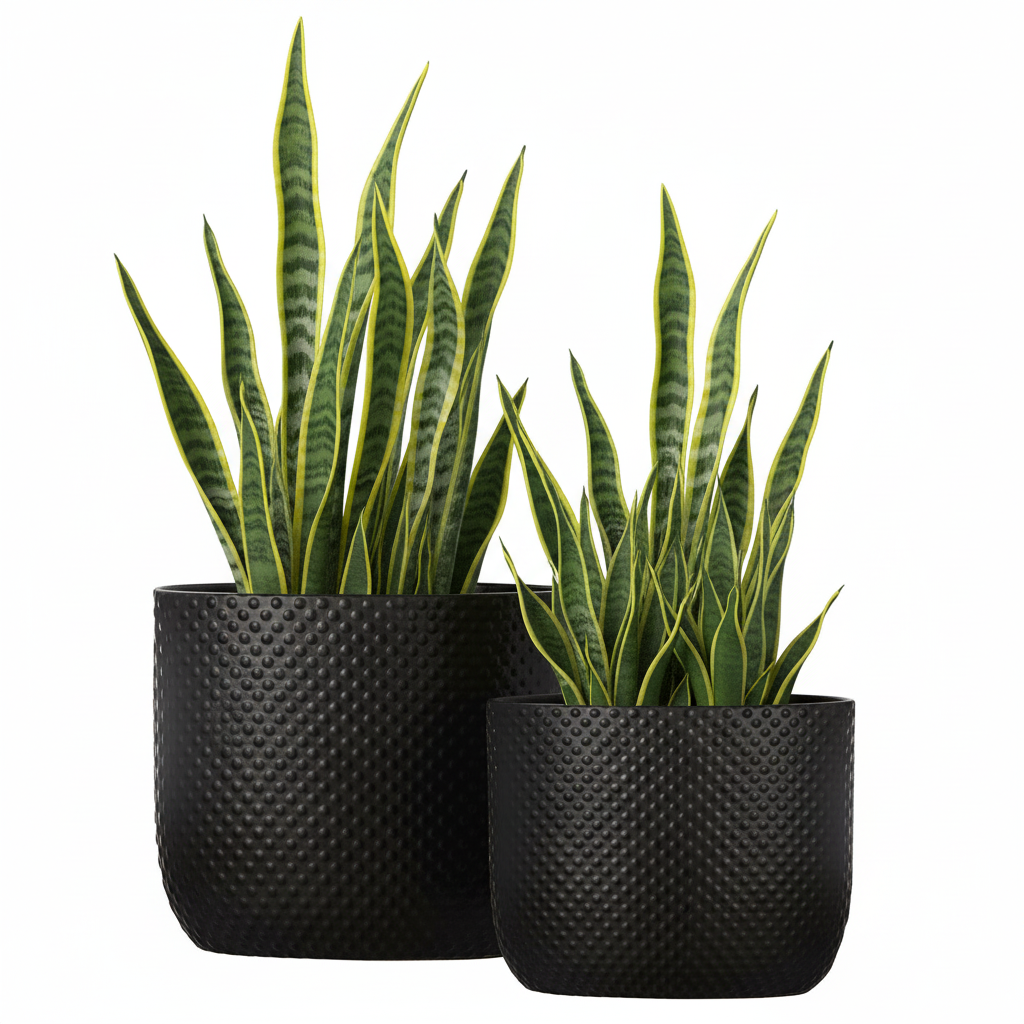 Dovara Symmetry Oval Ceramic Planter Set (Set of 2)