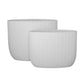 Rheva Ceramic Tall Oval Planter Set (Set of 2)