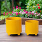 Feyora Tripod Planter Set
