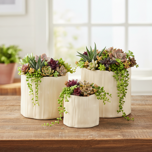Marcie Cream Ceramic Planter (Set of 3)