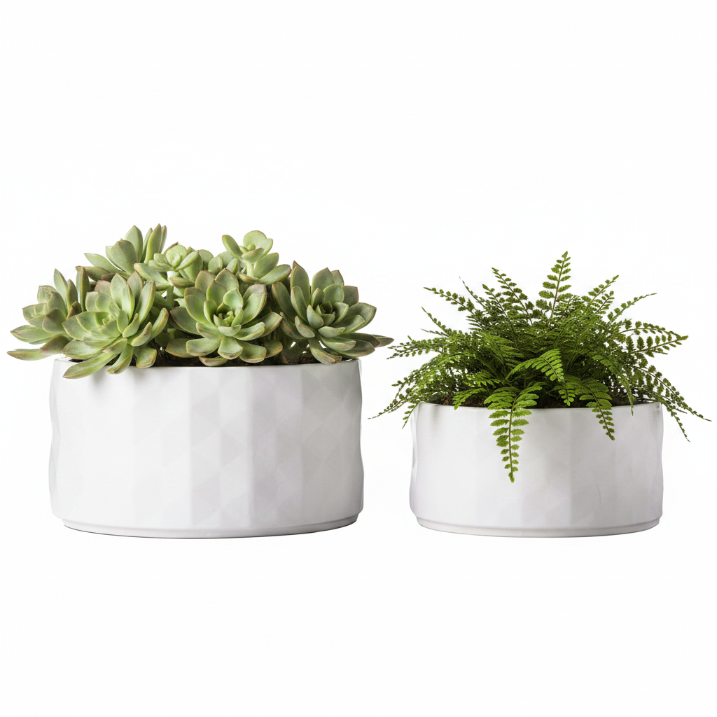 Two white ceramic planter pots with a faceted geometric design, one containing a green succulent and the other a green fern, shown on a solid white background.