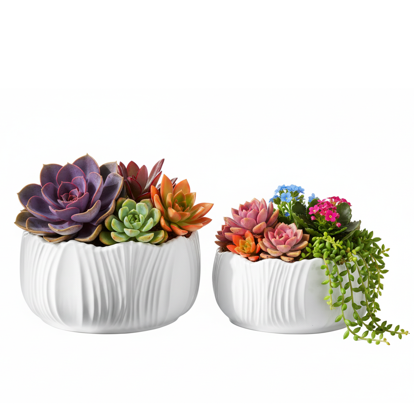 Viona Ceramic Round Wide Pot Set (Set of 2)