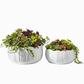 Viona Ceramic Round Wide Pot Set (Set of 2)