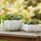 Viona Ceramic Round Wide Pot Set (Set of 2)