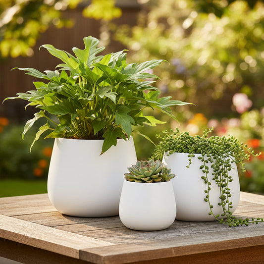 Omya Ceramic Plain Round Bellied Pot Set (Set of 3)