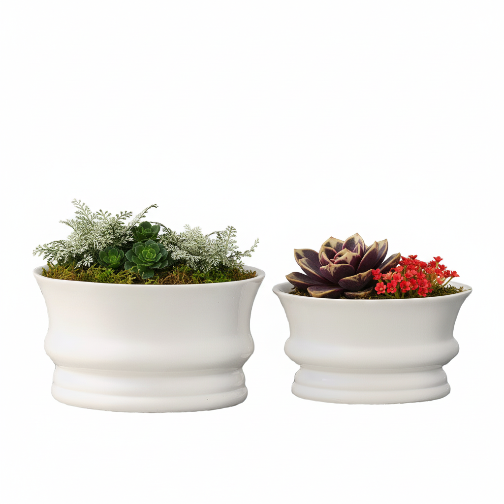Maira Ceramic Minimalist Rounded Pot (Set of 2)