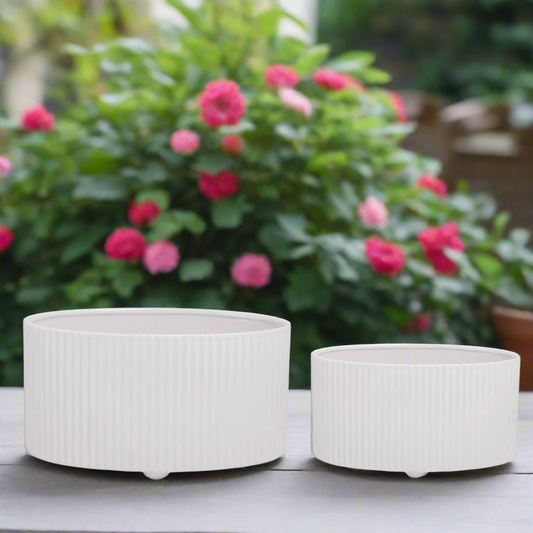 Avery Glossy Oval Vase Set (Set of 2)