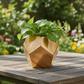 Harper Hexagon Ceramic Planter