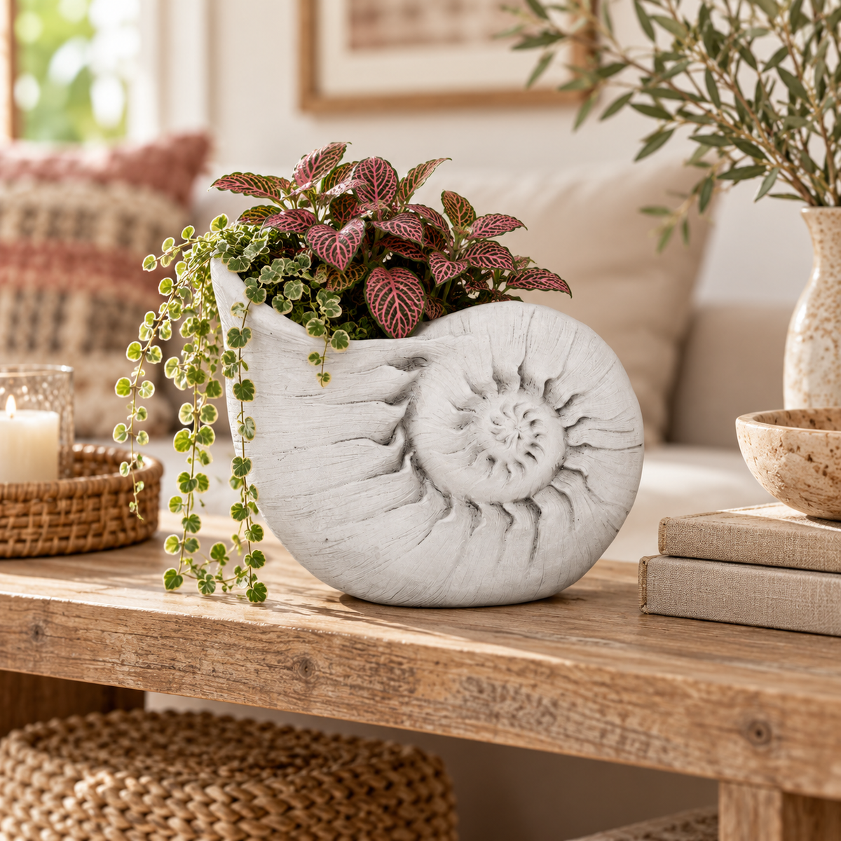 A white nautilus shell planter filled with green and burgundy foliage, styled on a rustic wooden table in a cozy living room setting.