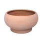 Terracotta Mushroom Compote Planter