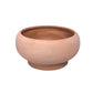 Terracotta Mushroom Compote Planter
