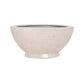 Kaelenn Ceramic Shell Boat Planter