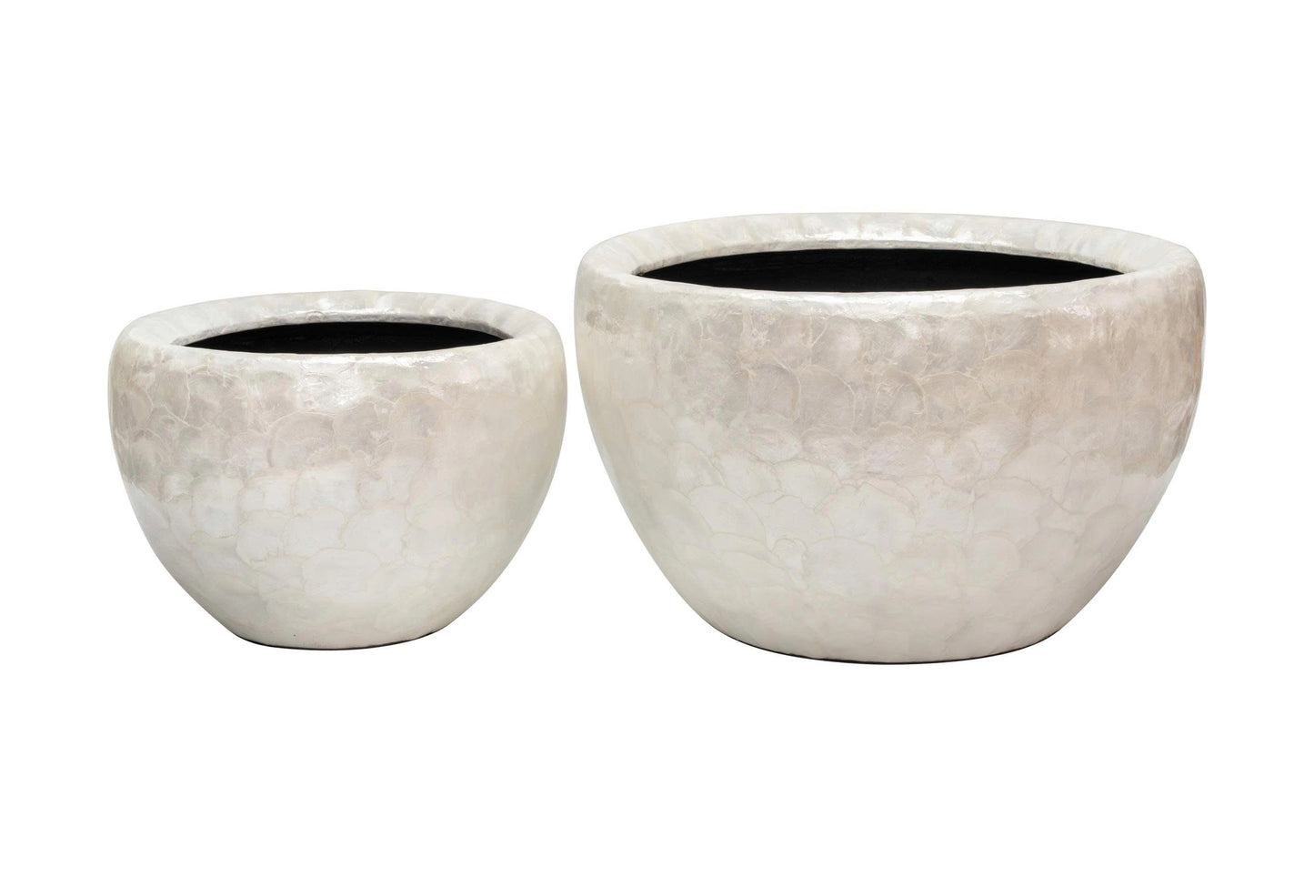 Yael Capri Shell Bowl Planter Set (Set of 2)