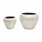 Raya Capri Shell Round Planter Set (Set of 2)