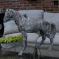 Equinox Decorative Fiberglass Stallion