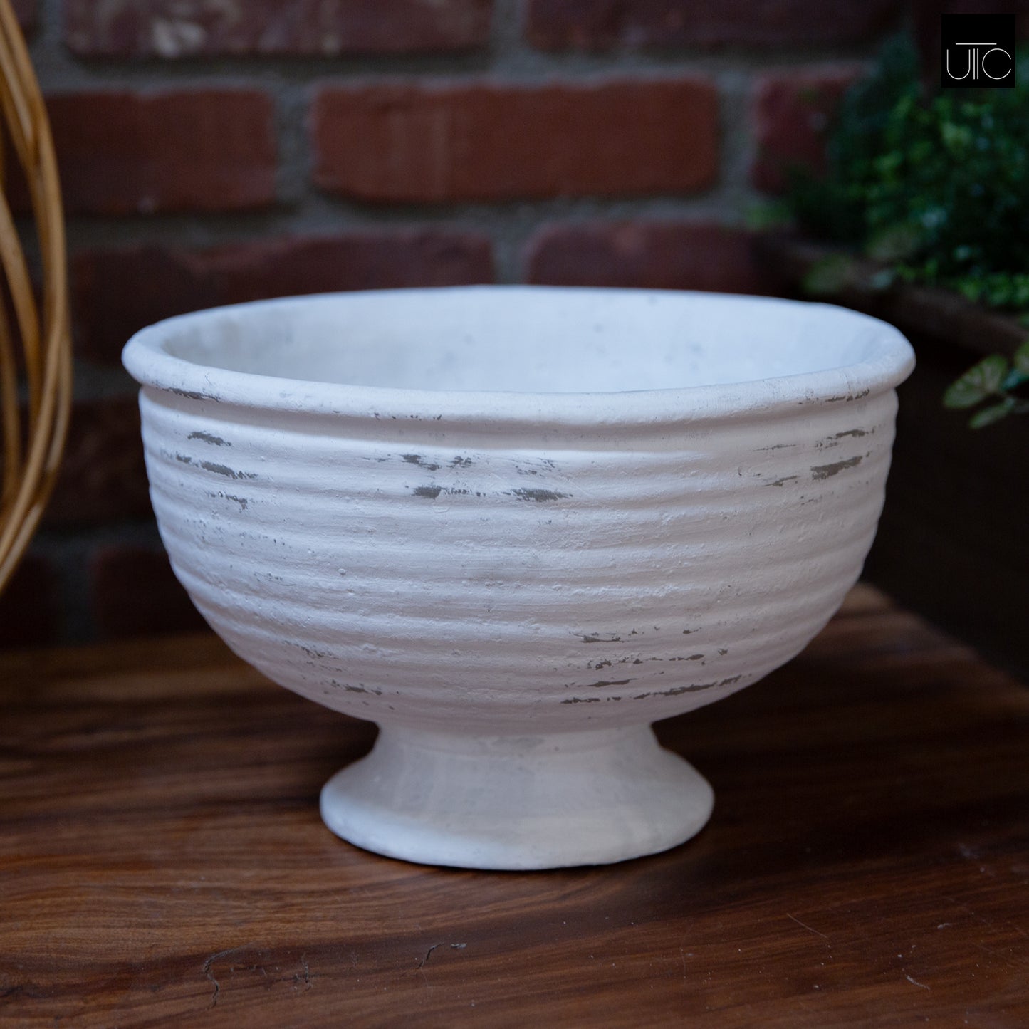 Iris Cement Urn Planter