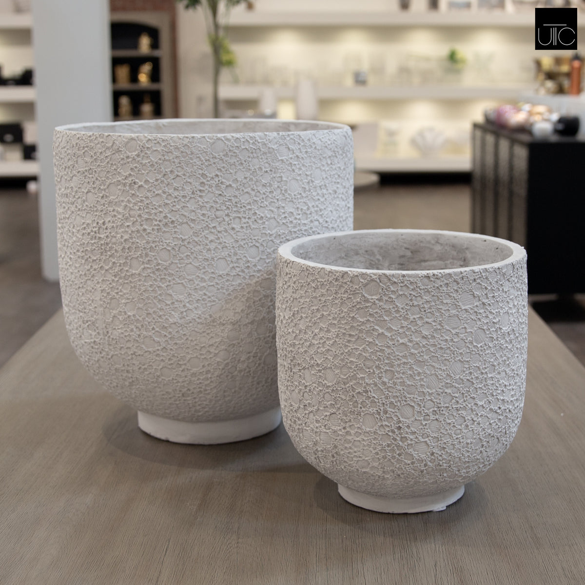 Irina Cylinder Planters with Pedestal Base (Set of 2)