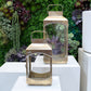 Feylan Gold Iron Glass Lanterns (Set of 2)