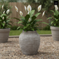 Kira Ribbed Amphora-Style Cement Planter