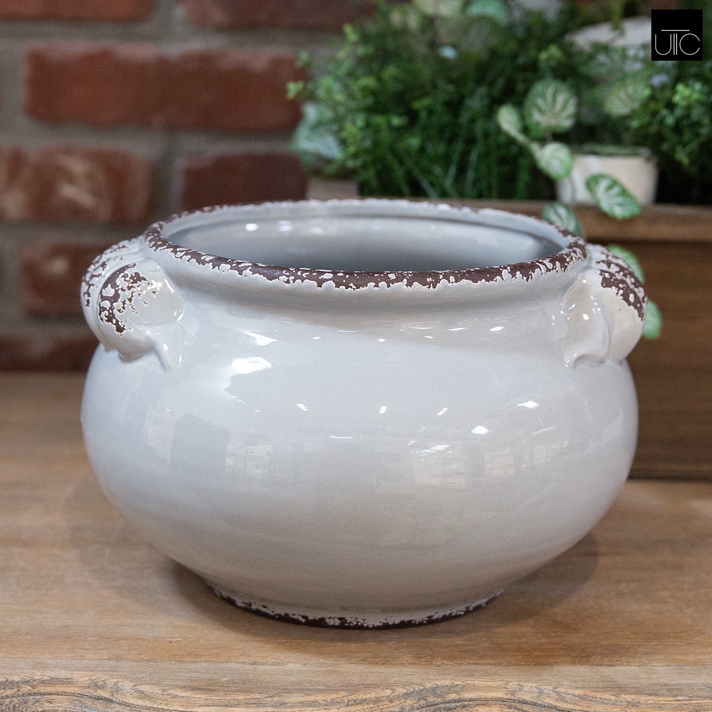 Ceramic Pot Gloss Finish Gray 6.25"H