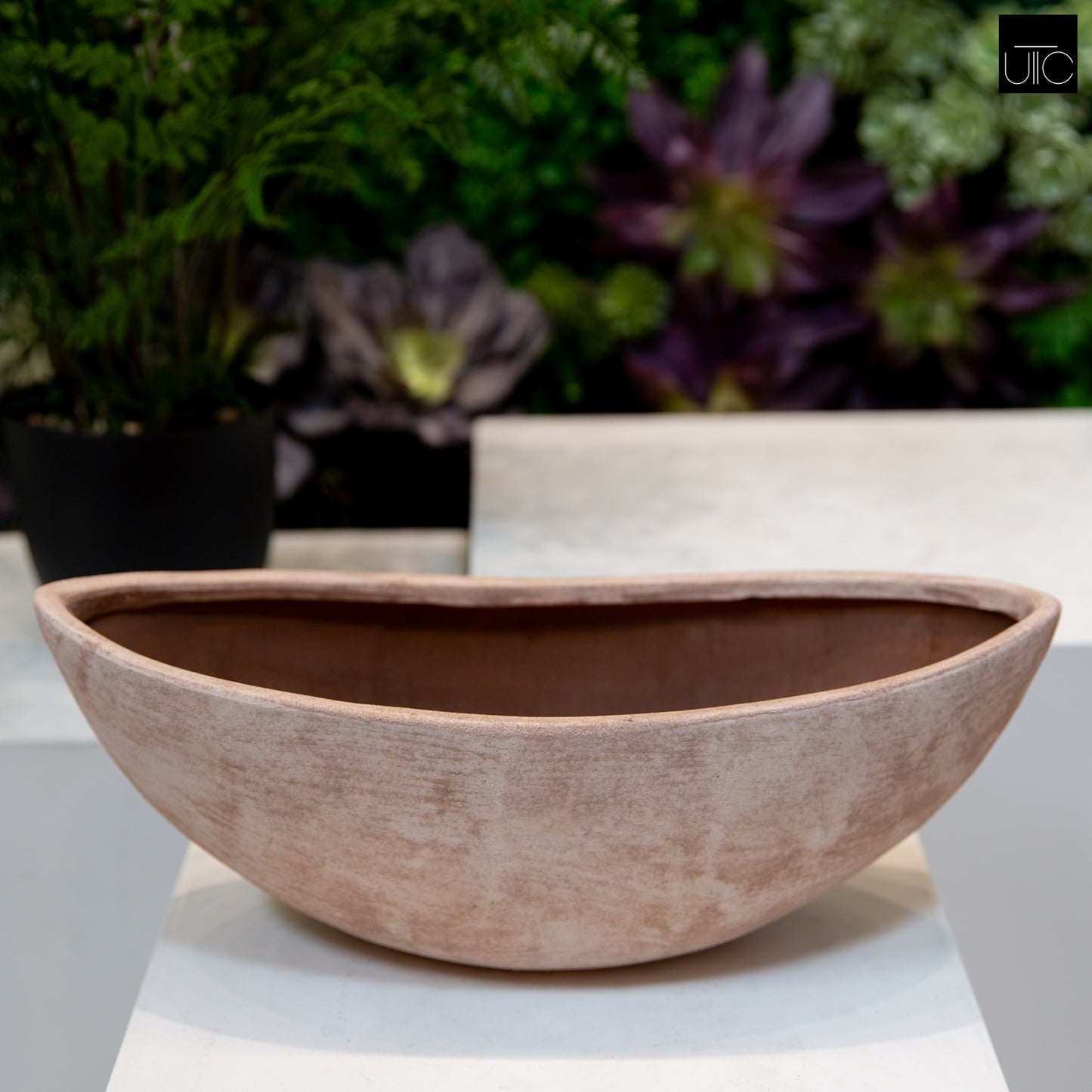 Quenra Lotus Root Planter