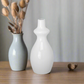 Aurex Glossy Finish Ceramic Vase