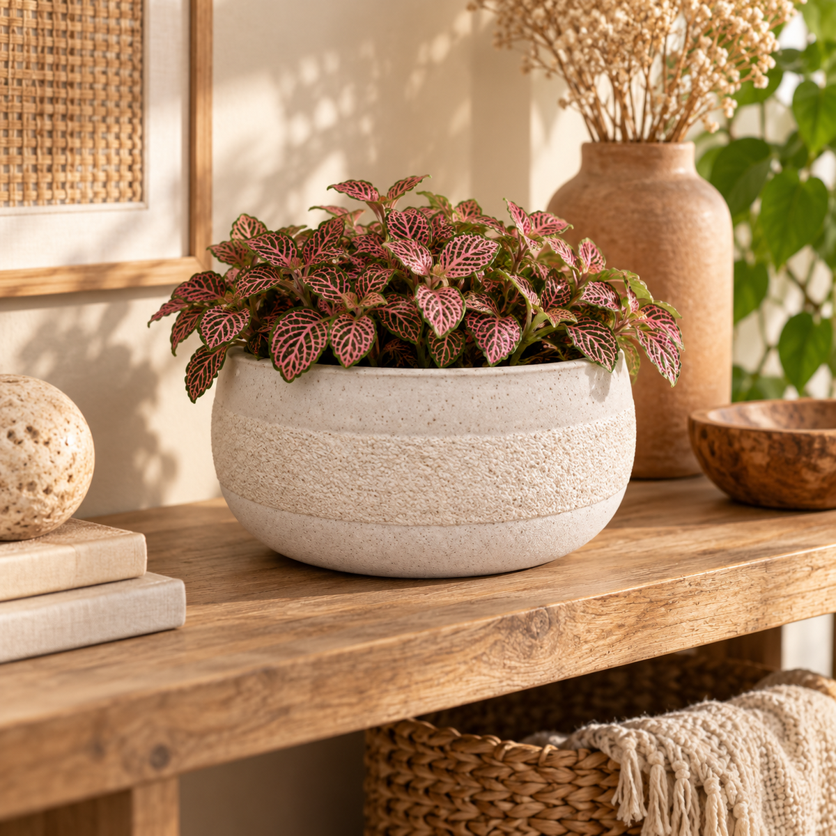A round textured beige ceramic planter holding a pink and green patterned leafy plant, styled on a rustic wooden console table with dried flowers in a vase and woven decor in a warm indoor setting.
