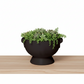 Winnie Lion Handle Ceramic Pot