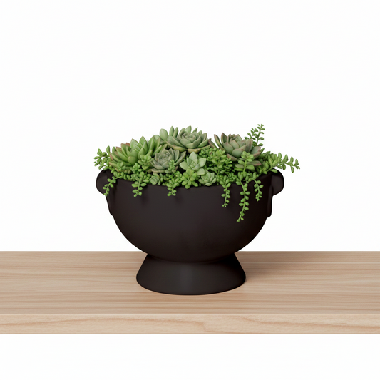 Winnie Lion Handle Ceramic Pot
