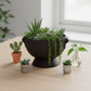 Winnie Lion Handle Ceramic Pot