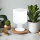 Linden Gloss White Vase