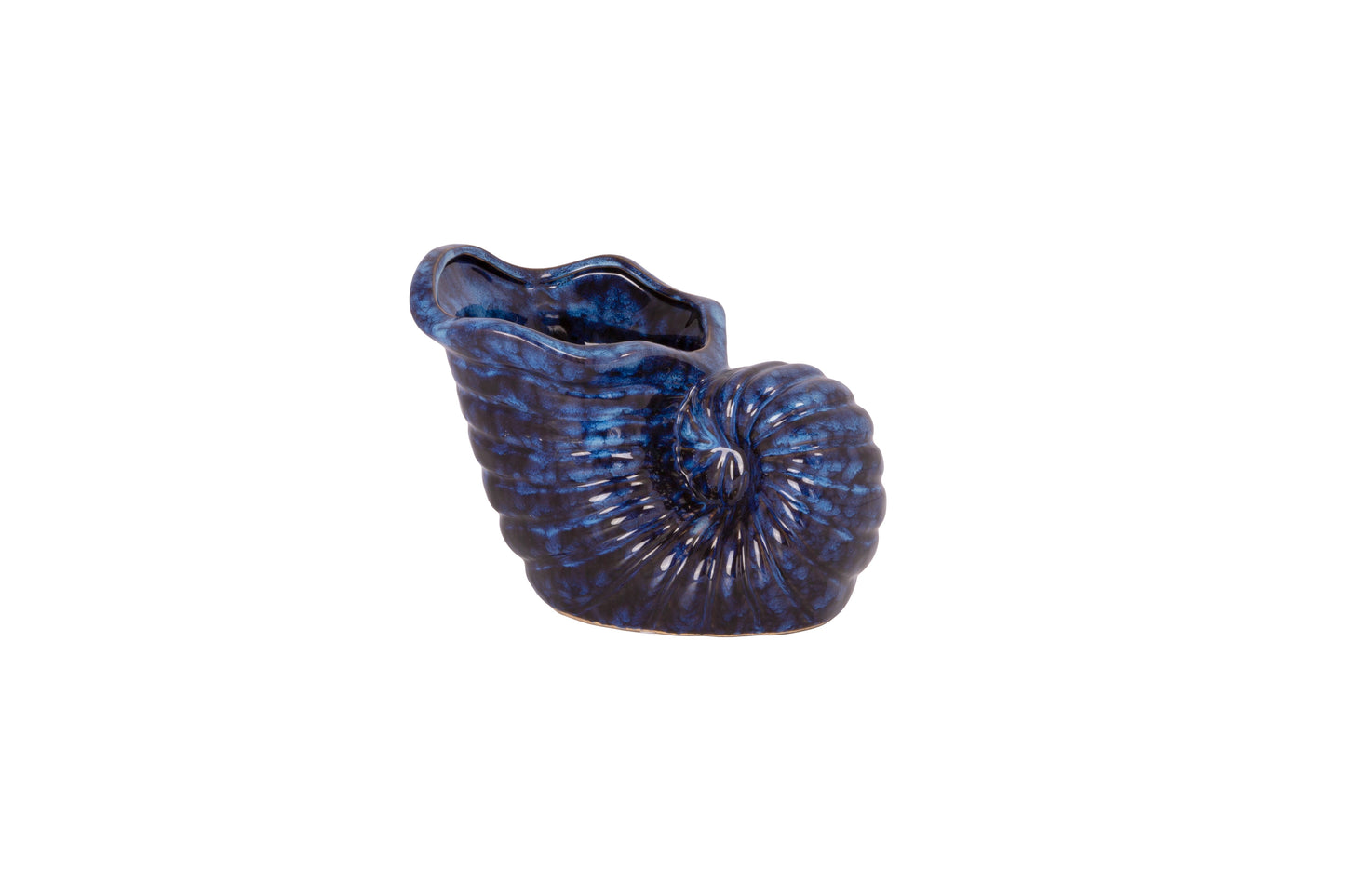 Ceramic Shell Vase -