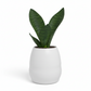 Caylen Matte White Ceramic Planter