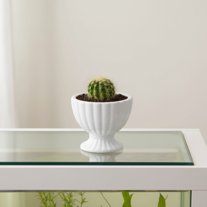 Grellen Rippled Off-White Compote Planters