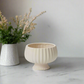 Pavin Off-White Matte Compote Planters