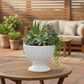 Grellen Rippled Off-White Compote Planters