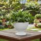 Grellen Rippled Off-White Compote Planters