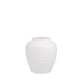 Alivia Ceramic Vase