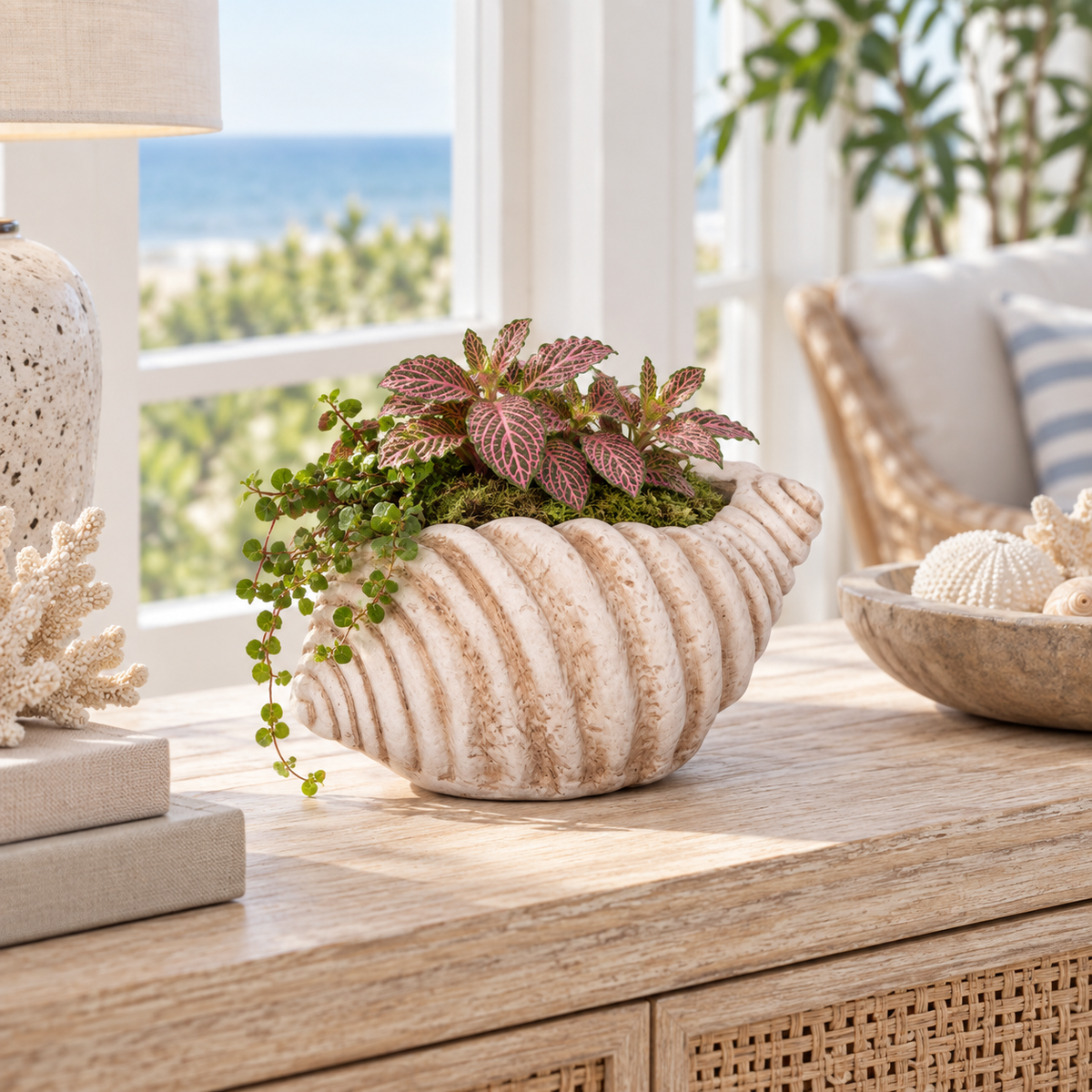 A seashell-shaped planter with a textured cream and beige finish, filled with green and burgundy foliage, displayed on a light wood console table in a bright, coastal-themed room.
