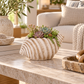 A seashell-shaped planter with a ribbed textured exterior, filled with small succulent plants, displayed on a stone coffee table in a bright, modern living room setting.
