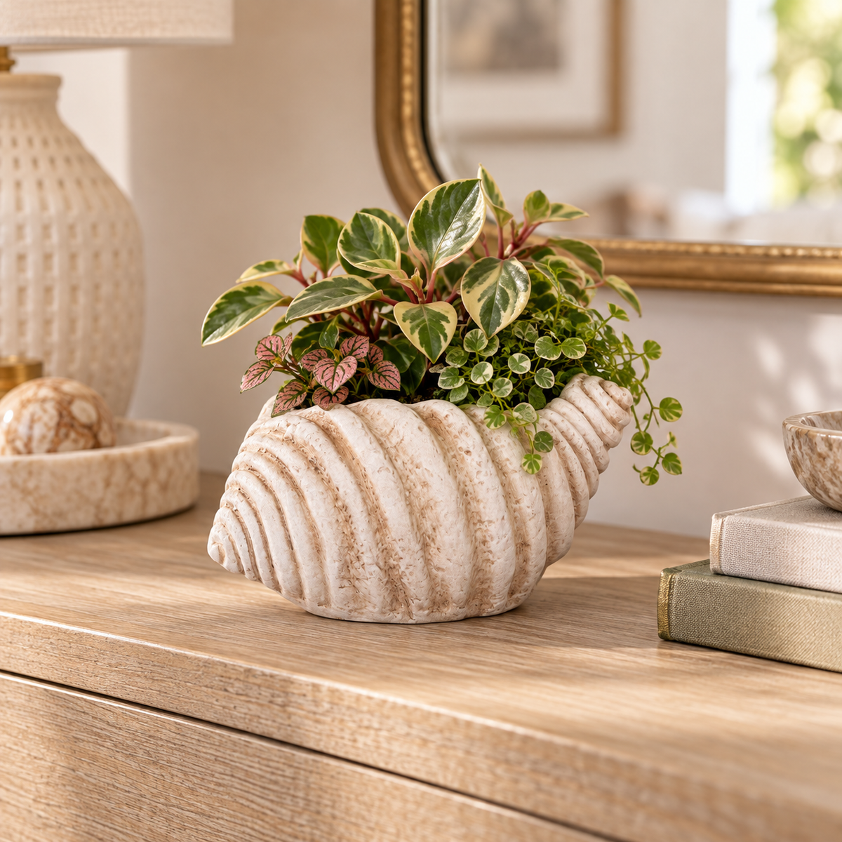 A seashell-shaped ceramic planter with a textured cream and tan finish, filled with green and variegated houseplants, displayed on a wooden dresser in a styled home interior.