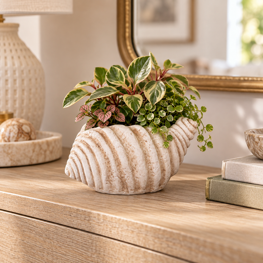 A seashell-shaped ceramic planter with a textured cream and tan finish, filled with green and variegated houseplants, displayed on a wooden dresser in a styled home interior.