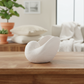 Levelle Polyresin Seashell Planter